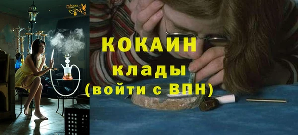 шишки Баксан