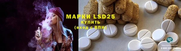 шишки Баксан