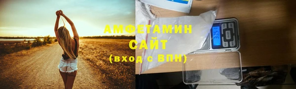 ГАЛЛЮЦИНОГЕННЫЕ ГРИБЫ Балабаново