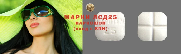 ГАЛЛЮЦИНОГЕННЫЕ ГРИБЫ Балабаново