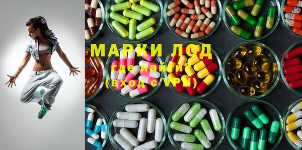 шишки Баксан