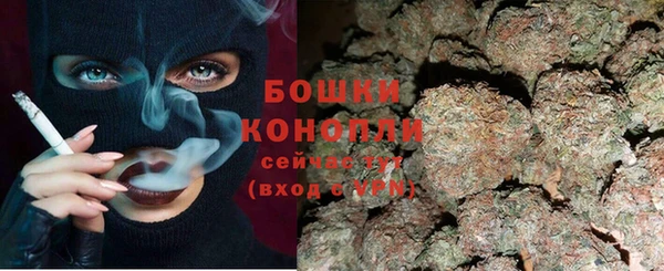 ГАЛЛЮЦИНОГЕННЫЕ ГРИБЫ Балабаново