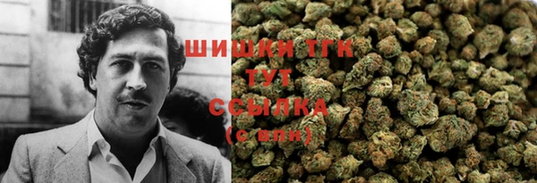 ГАЛЛЮЦИНОГЕННЫЕ ГРИБЫ Балабаново