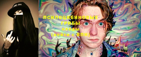 ГАЛЛЮЦИНОГЕННЫЕ ГРИБЫ Балабаново
