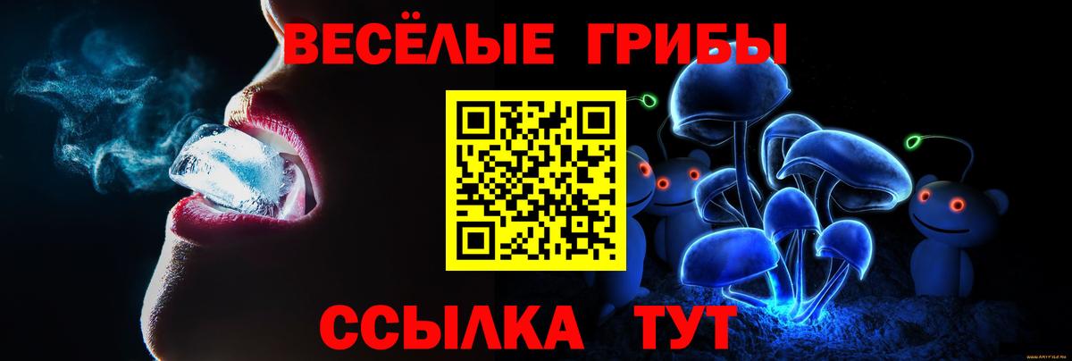 Галлюциногенные грибы Psilocybine cubensis Барабинск